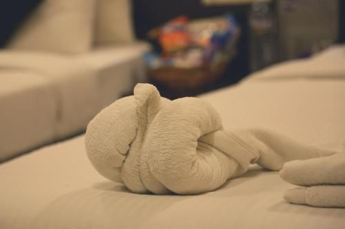 صورة الفندق 1