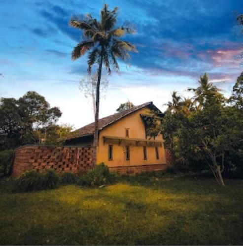 Orchard Resort Navage