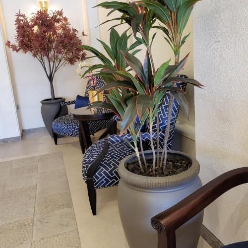 image of hotel Ambassador, a Boutique Hotel