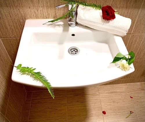 صورة الفندق 4