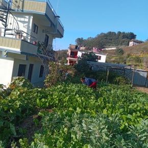 NearBy Hotel