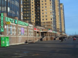 1-комнатная квартира