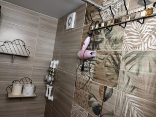 Студия