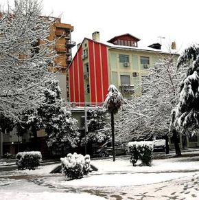 NearBy Hotel