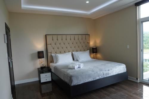 صورة الفندق 12