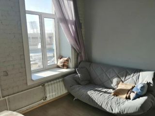 Студия