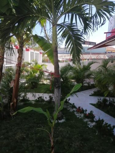 Hotel Photo 9