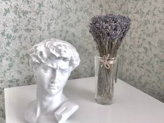 Студия