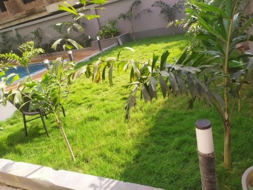 صورة الفندق 8