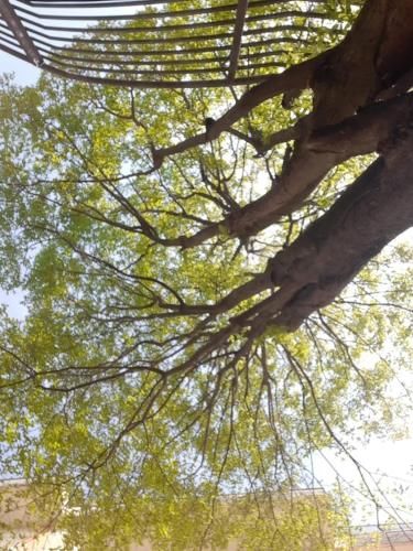 صورة الفندق 2