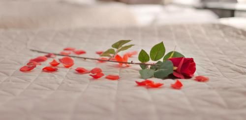 صورة الفندق 20