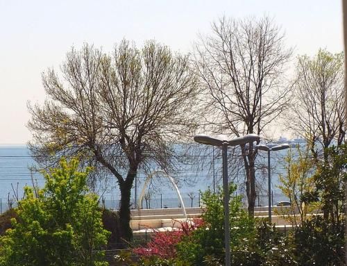 صورة الفندق 2