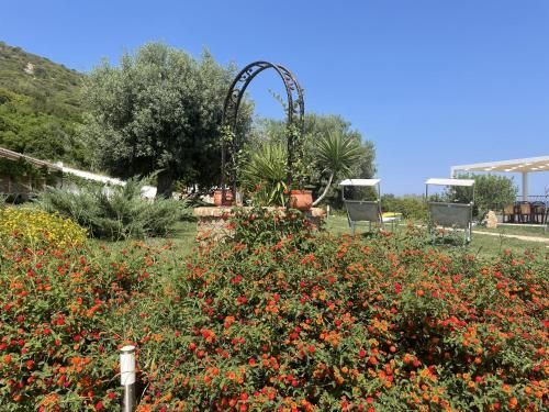 صورة الفندق 16