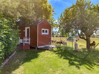 Hotel pic Tiny House auf der Alpaka Farm