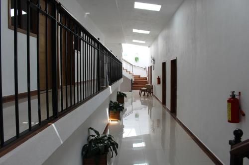 صورة الفندق 13