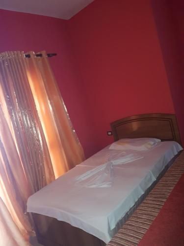 صورة الفندق 8