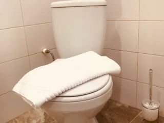 Студия