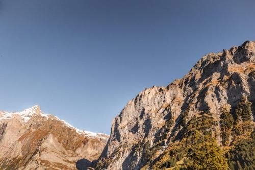 صورة الفندق 8