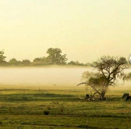 صورة الفندق 23