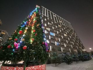 Студия