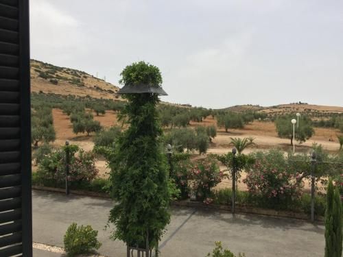 صورة الفندق 14