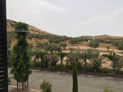 صورة الفندق 16