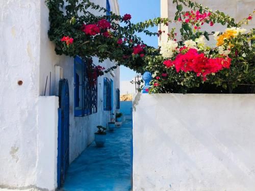 صورة الفندق 3