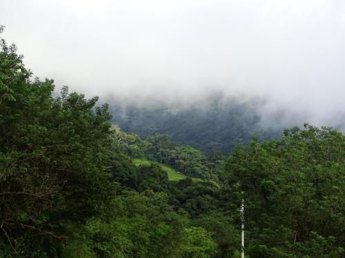 صورة الفندق 11
