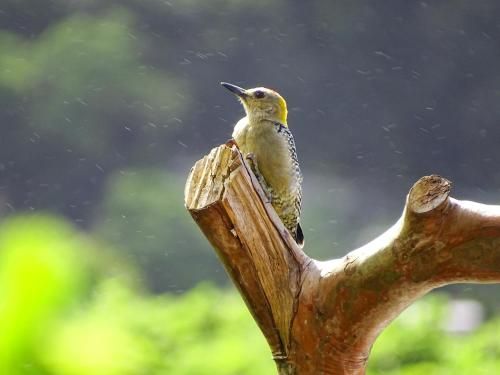 صورة الفندق 12