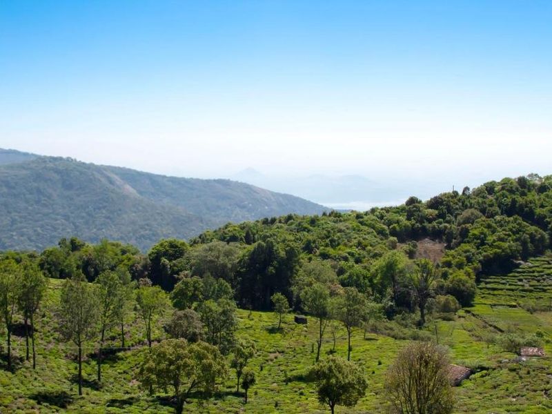 صورة الفندق 7