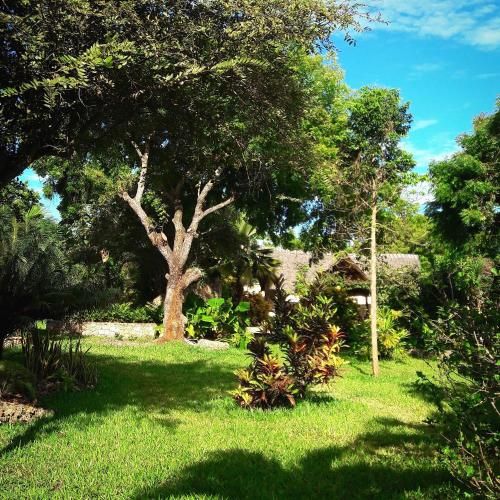 صورة الفندق 1