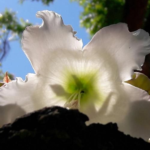 صورة الفندق 15