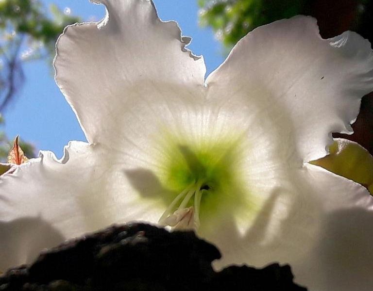صورة الفندق 9