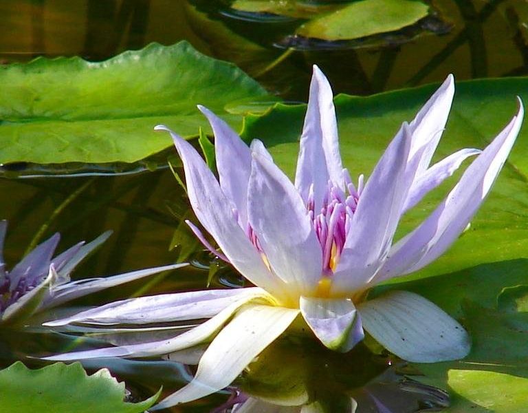صورة الفندق 10
