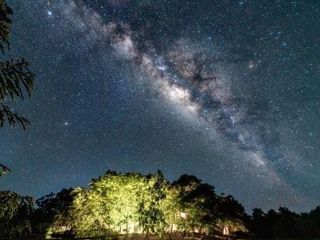 Фото отеля Fandee Island Tad Lo - ດອນຝັນດີ