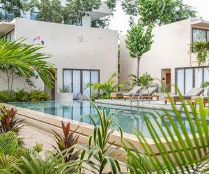 Faisano Nomadas Tulum Mexico