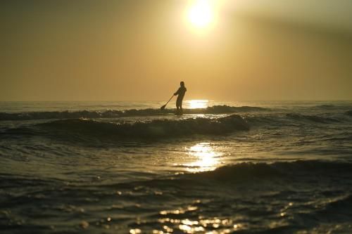 صورة الفندق 20