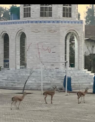 صورة الفندق 4