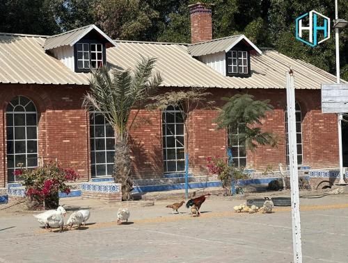 صورة الفندق 6