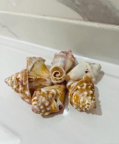 صورة الفندق 5
