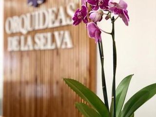 Фото отеля Orquídeas De La Selva