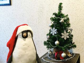 Студия