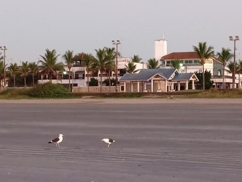 صورة الفندق 6