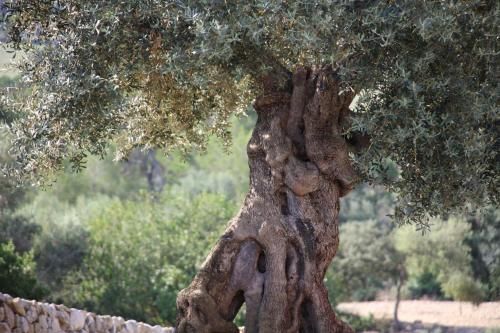 صورة الفندق 24
