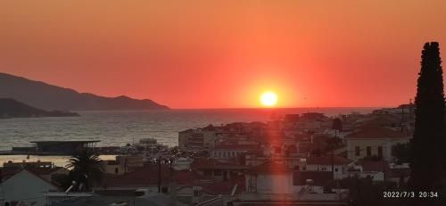 صورة الفندق 14