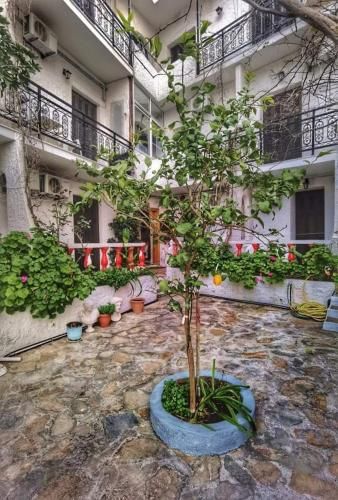 صورة الفندق 3