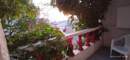 صورة الفندق 10