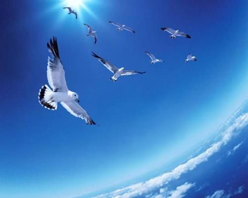 صورة الفندق 7