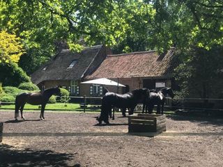 Фото отеля de Swaenhoeve