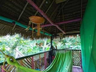 Фото отеля Hostal Búho Amazonas tours